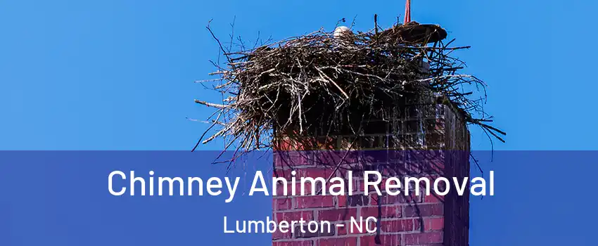 Chimney Animal Removal Lumberton - NC
