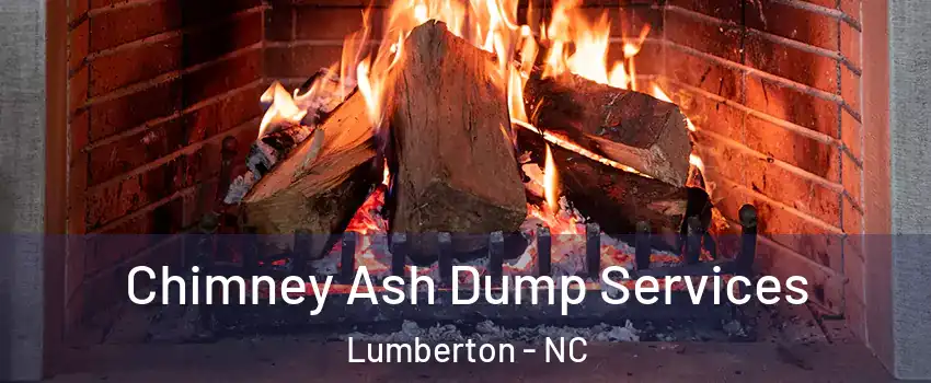  Chimney Ash Dump Services Lumberton - NC