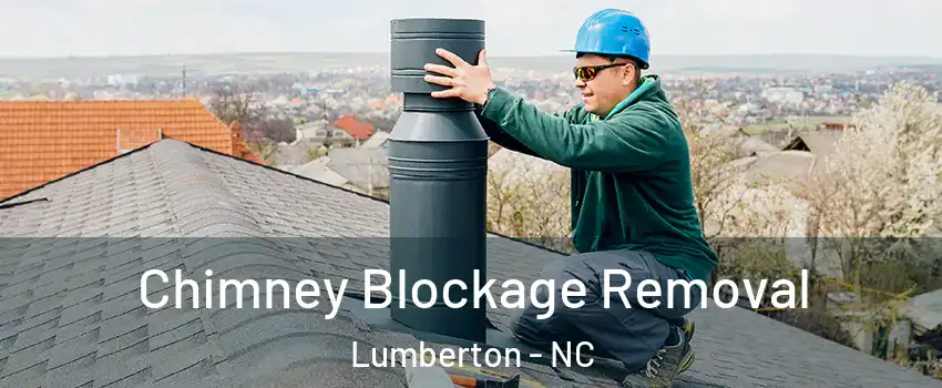  Chimney Blockage Removal Lumberton - NC