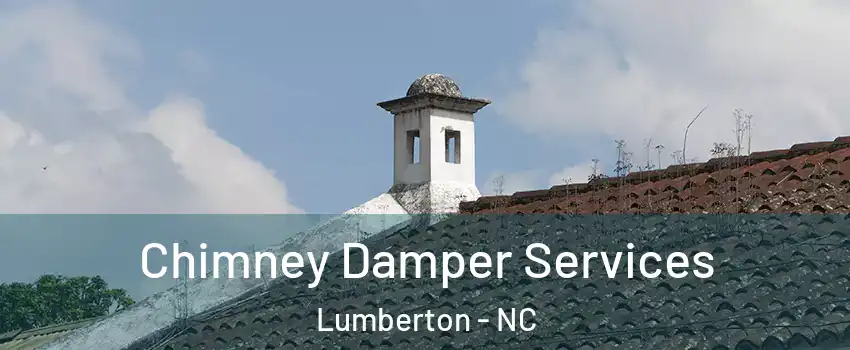  Chimney Damper Services Lumberton - NC