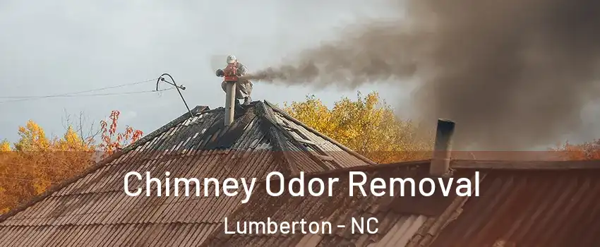  Chimney Odor Removal Lumberton - NC