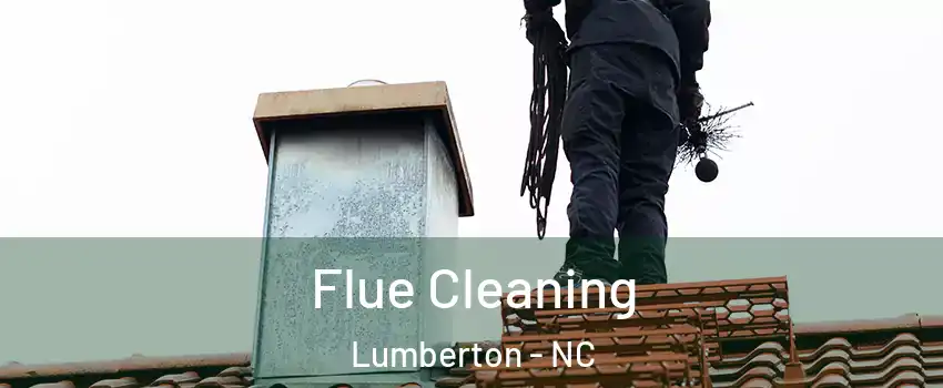  Flue Cleaning Lumberton - NC