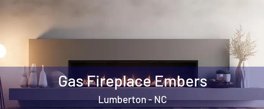  Gas Fireplace Embers Lumberton - NC