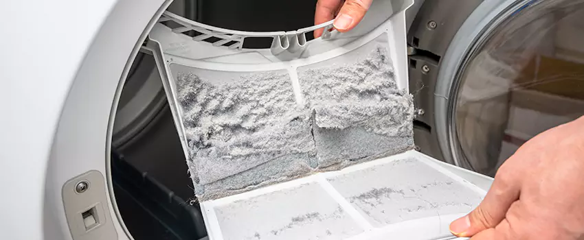 Best Dryer Lint Removal Company in Lumberton, North Carolina