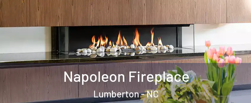  Napoleon Fireplace Lumberton - NC